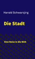 Harald Schwarzjirg: Die Stadt 