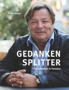 Heinz Kleger: Gedankensplitter 