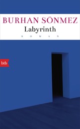 Labyrinth - Roman