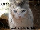 Judith Cramer: Miezi – Eine wahre Katzengeschichte ★★★★★