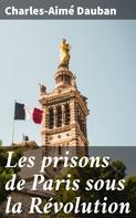 Charles-Aimé Dauban: Les prisons de Paris sous la Révolution 
