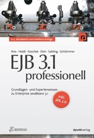Oliver Ihns: EJB 3.1 professionell (iX Edition) 