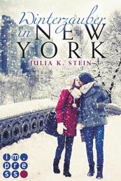 Winterzauber in New York - New Adult Romance über ein ungeplantes Wochenende mit einem Womanizer im verschneiten New York