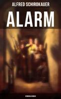 Alfred Schirokauer: Alarm: Kriminalroman 