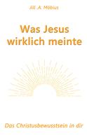 Jill A. Möbius: Was Jesus wirklich meinte 