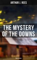Arthur J. Rees: The Mystery of the Downs (Thriller Novel) 