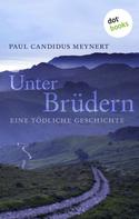 Paul C. Meynert: Unter Brüdern 