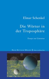 Die Wörter in der Troposphäre - Essays zur Literatur
