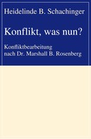 Heidelinde B. Schachinger: Konflikt, was nun? 