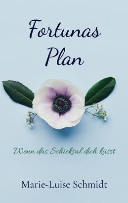 Fortunas Plan
