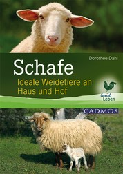 Schafe - Ideale Weidetiere an Haus und Hof