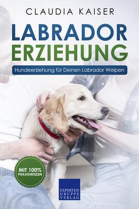 Labrador Erziehung - Hundeerziehung für Deinen Labrador Welpen