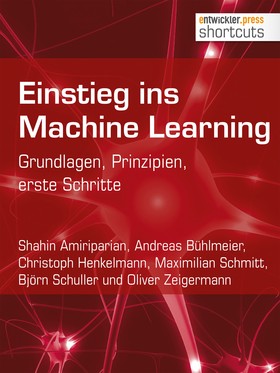 Einstieg ins Machine Learning