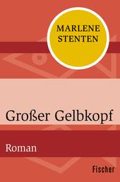 Großer Gelbkopf - Roman