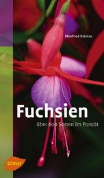Fuchsien - Über 600 Sorten im Porträt