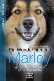 Ein Wunder namens Marley - Wie mein Hund mich wieder auf die Beine brachte