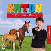 Anton, 7: Das Fohlen Bonny (Ungekürzt)