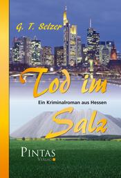 Tod im Salz - Ein Kriminalroman aus Hessen