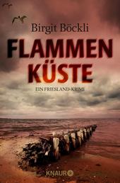 Flammenküste - Ein Friesland-Krimi