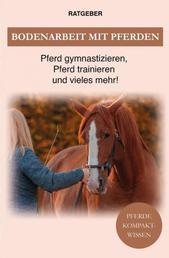 Bodenarbeit Pferd - Bodenarbeit mit Pferden, Pferd gymnastizieren, Pferdetraining und vieles mehr!