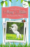 Andrea Wandel: Ein Pony für alle Fälle - Erster Roman: Ein Freund für Marie ★★★★★