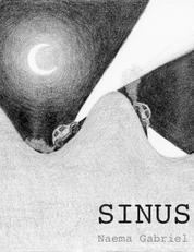 SINUS - Eine Berg- und Talfahrt ins Leben