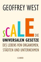 Scale - Die universalen Gesetze des Lebens von Organismen, Städten und Unternehmen