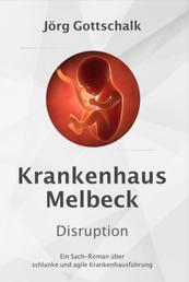 Krankenhaus Melbeck - Disruption - Ein Sachroman über agile und schlanke Krankenhausführung