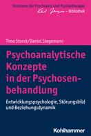 Timo Storck: Psychoanalytische Konzepte in der Psychosenbehandlung 