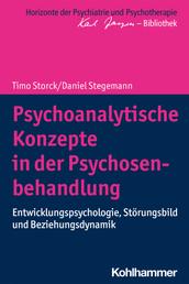Psychoanalytische Konzepte in der Psychosenbehandlung - Entwicklungspsychologie, Störungsbild und Beziehungsdynamik