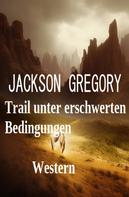 Jackson Gregory: Trail unter erschwerten Bedingungen: Western 