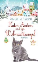 Kater Anton und der Weihnachtsengel - Roman