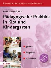 Pädagogische Praktika in Kita und Kindergarten - planen - begleiten - auswerten