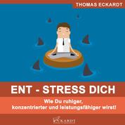 ENT - STRESS DICH - Wie Du ruhiger, konzentrierter und leistungsfähiger wirst!