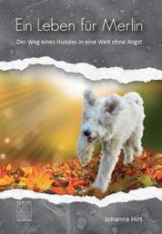Ein Leben für Merlin - Der Weg eines Hundes in eine Welt ohne Angst