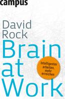 David Rock: Brain at Work ★★★★