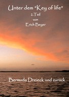 Erich Beyer: Unter dem "Key of life" 2.Teil 