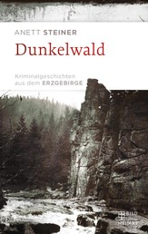 Dunkelwald - Kriminalgeschichten aus dem Erzgebirge