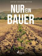 Artur Brausewetter: Nur ein Bauer 