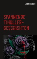 Sandro Hübner: Spannende Thriller-Geschichten 