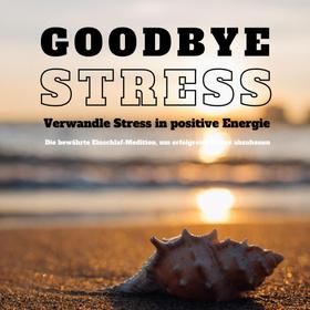 Goodbye Stress: Verwandle Stress in positive Energie (Stressreduktion, Stressmanagement)