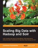 Hrishikesh Karambelkar: Scaling Big Data with Hadoop and Solr 
