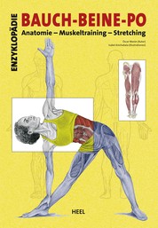 Enzyklopädie Bauch - Beine - Po - Anatomie - Muskeltraining - Stretching