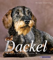 Dackel - Kleiner Hund mit großem Herz