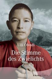 Die Stimme des Zwielichts - Roman | Die Fortsetzung des Tibetromans »Wie in einem Traum«