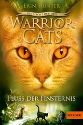 Warrior Cats - Die Macht der drei. Fluss der Finsternis - III, Band 2