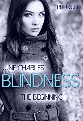 Blindness: The Beginning - Prequel