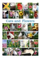 Susanna Király: Cats and Flowers 