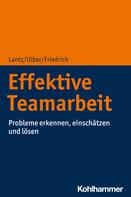 Peter Friedrich: Effektive Teamarbeit 