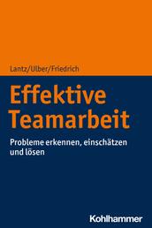 Effektive Teamarbeit - Probleme erkennen, einschätzen und lösen